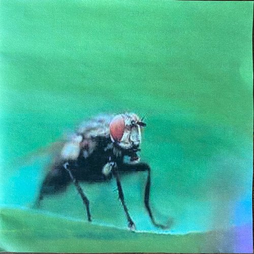 Amersfoortstalige Hip-Hop