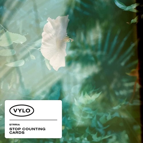 Stop Counting Cards