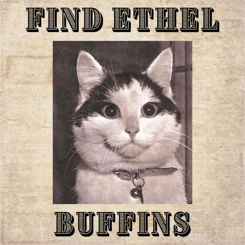 Buffins