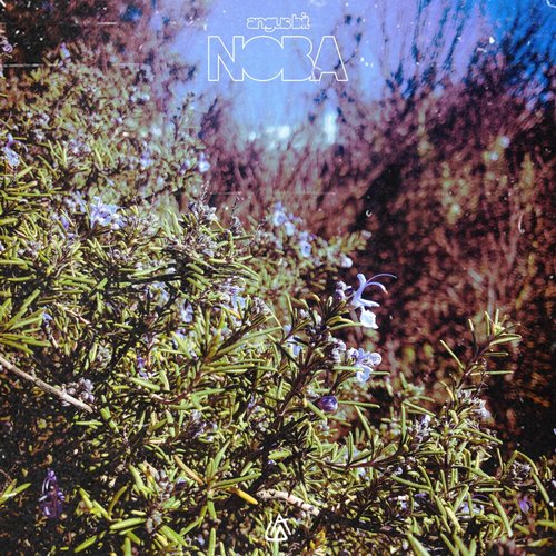 NOBA