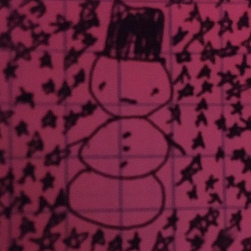 winterbugs