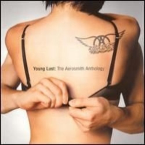 Young Lust: The Aerosmith Anthology Disc 2