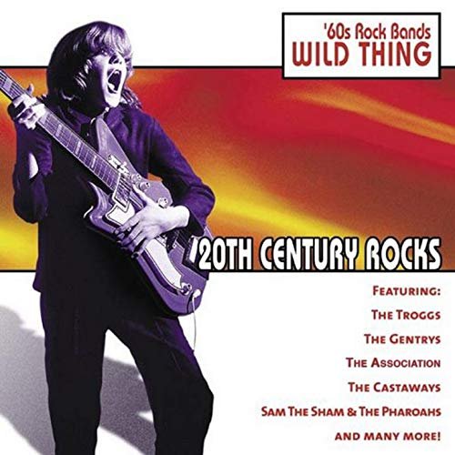 20th Century Rocks - 60's Rock Bands/Wild Thing