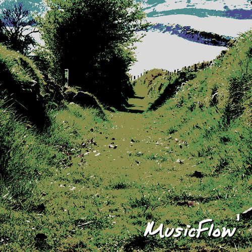Music Flow