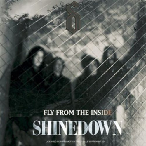 Shinedown Greeting Cards for Sale - Fine Art America