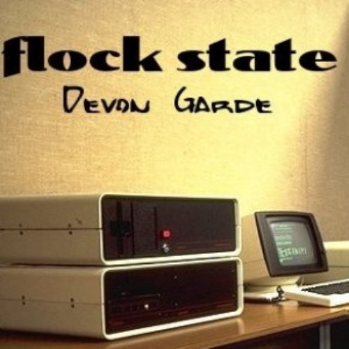 flock state (revisited)