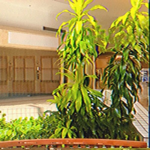 Echo point mall