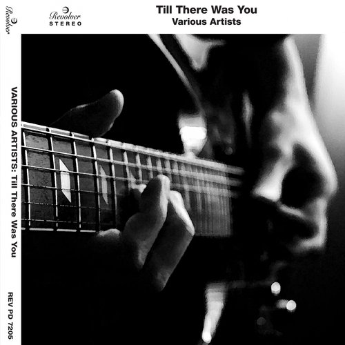 Till There Was You