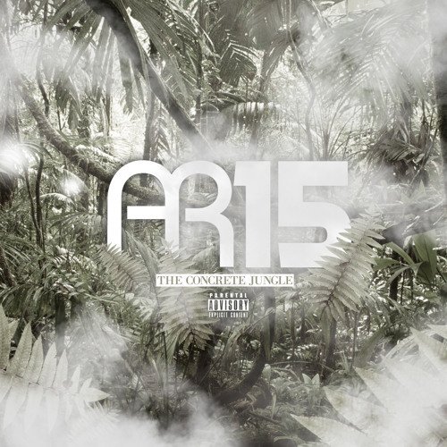 AR15 - Concrete Jungle