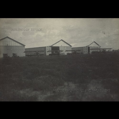 Requiem For Wings And Propellers