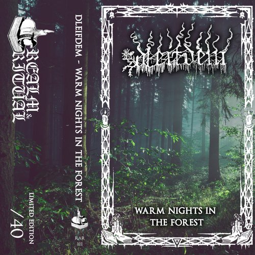 Warm Nights In The Forest