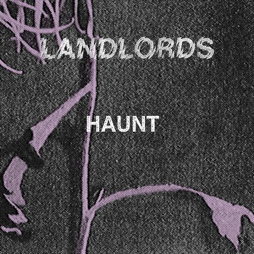 Haunt - Single