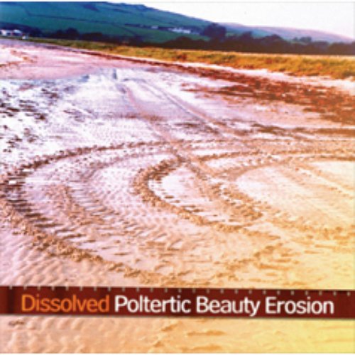 Poltertic Beauty Erosion EP