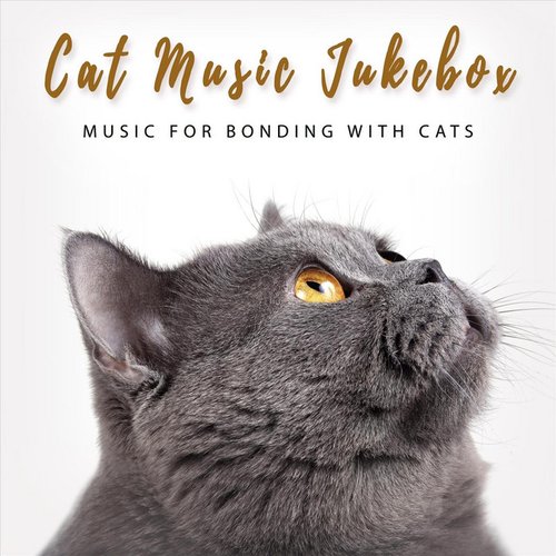 Music for Bonding with Cats