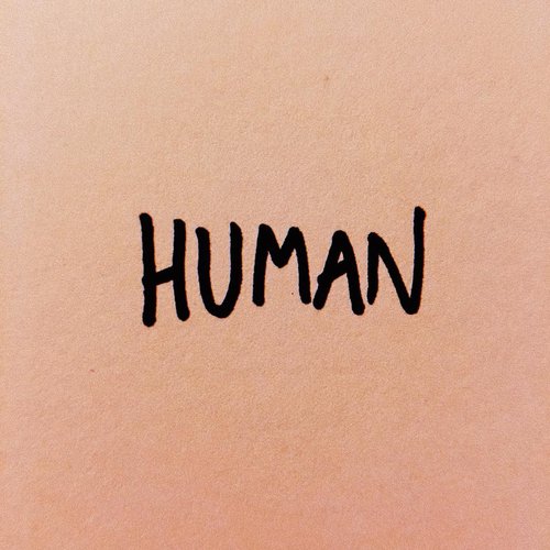 HUMAN (The Killers Cover)