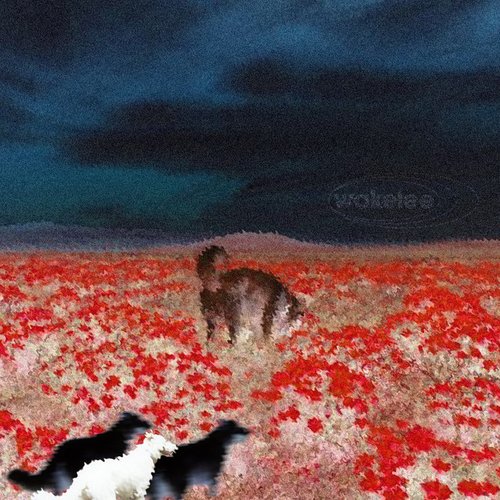 Doghouse