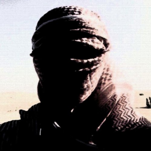 THIS IS A TERRORIST SONG - Single