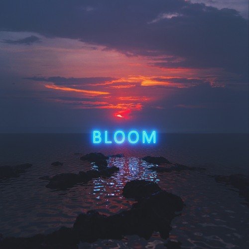 Bloom