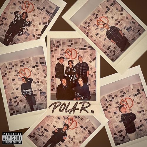 Polar