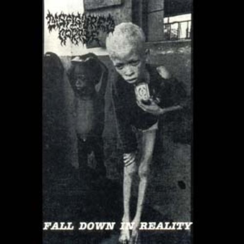 Fall Down in Reality