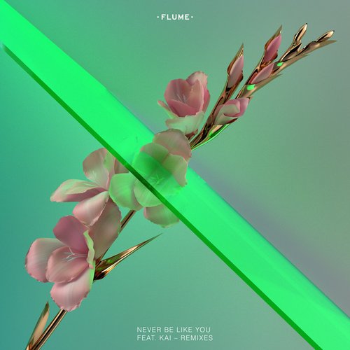 Never Be Like You (feat. Kai) [Remixes]