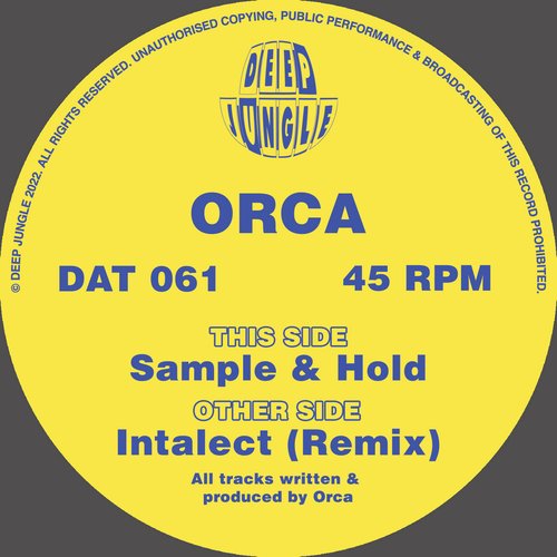 Intalect (Remix) / Sample & Hold