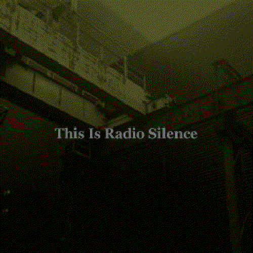 This Is Radio Silence