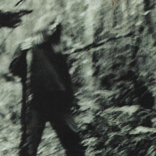 A Tragic Journey Towards The Light