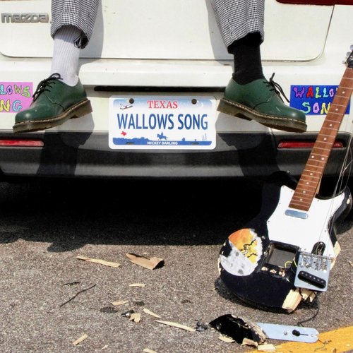 Wallows Song - Single