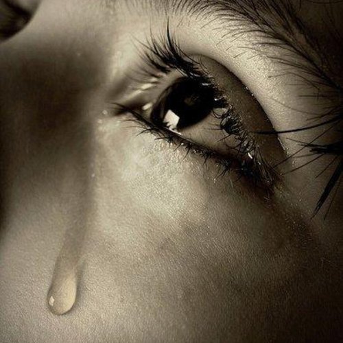 usedmeusedme
