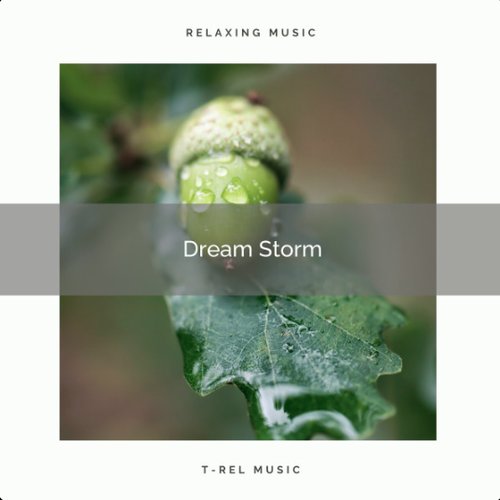 ! ! ! ! Dream Storm