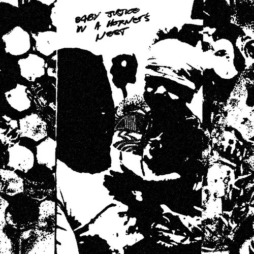 Baby Justice in a hornet's nest