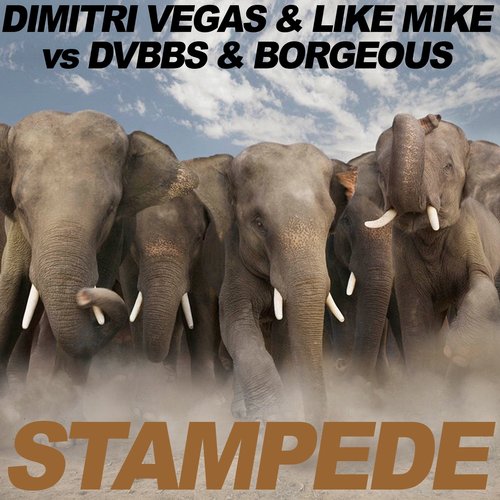 Stampede