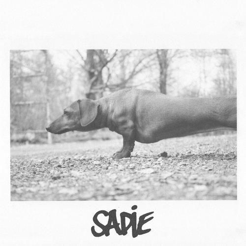 Sadie