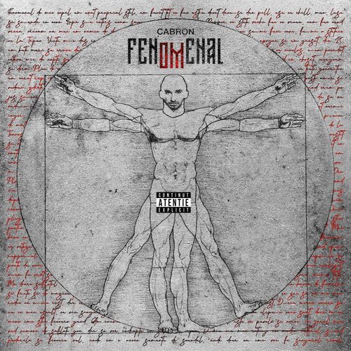 FENOMENAL