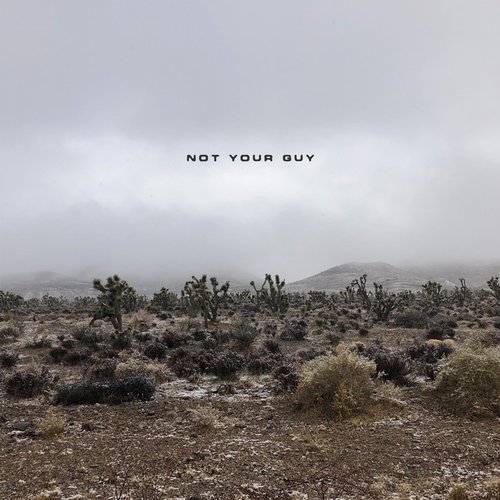 Not Your Guy - EP