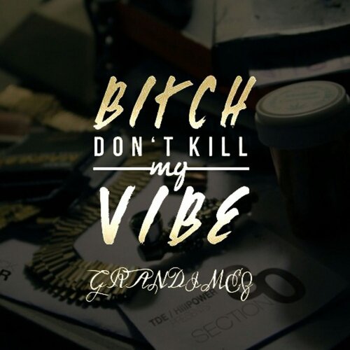 Bitch, Don't Kill My Vibe - Single