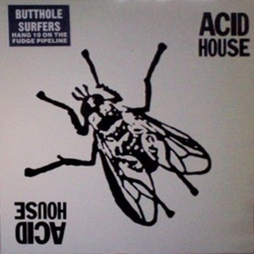 Acid House