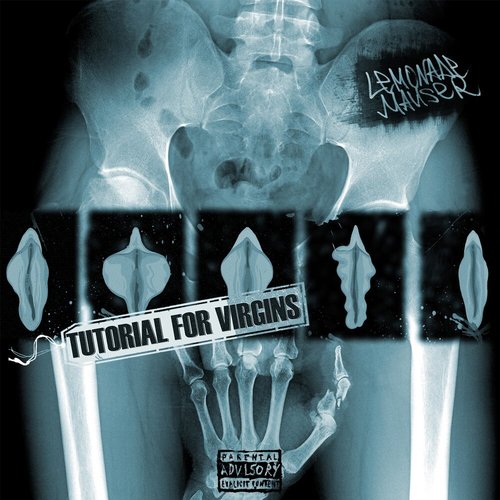 Tutorial for Virgins