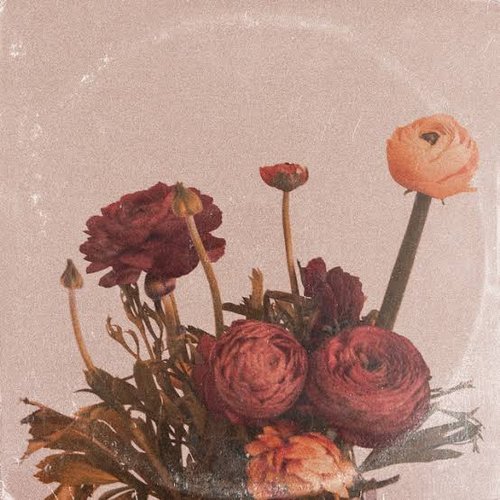 Solus - Single