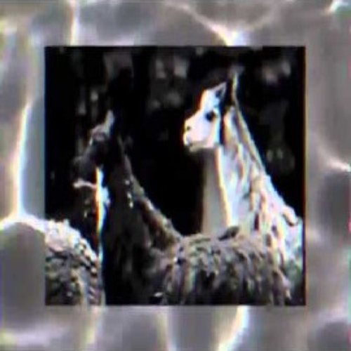 Unreleased (2013)