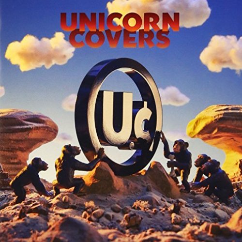 UNICORN COVERS