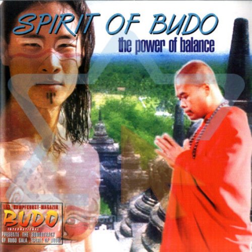 Spirit of Budo