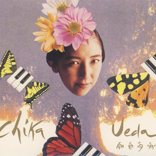 朝昼夜晴れ