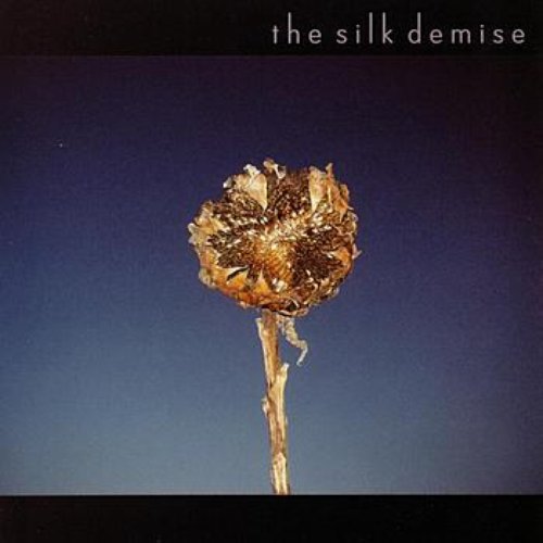 the silk demise