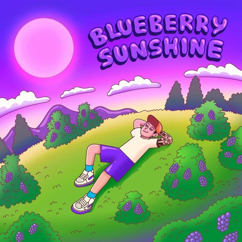 Blueberry Sunshine