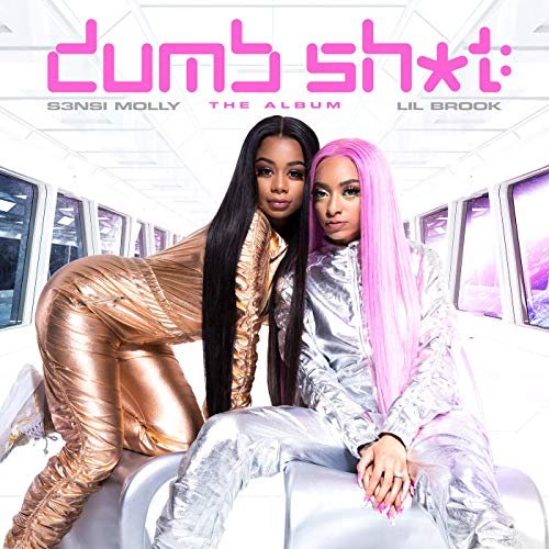 Dumb Sh*t: The Album