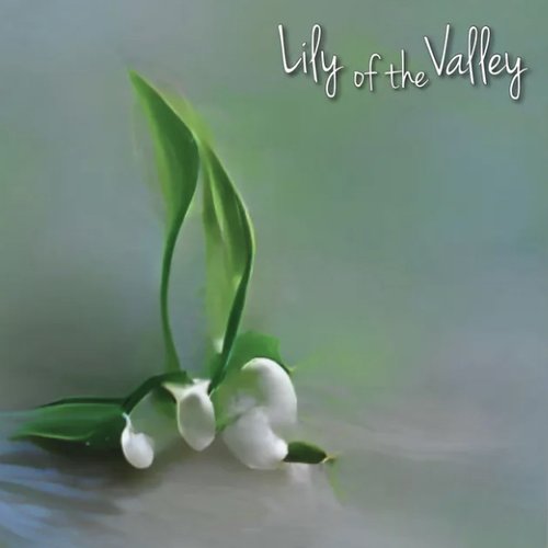 Lily of the Valley - EP