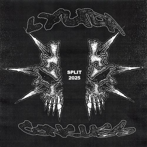 Lyuda / Concuss Split 2025