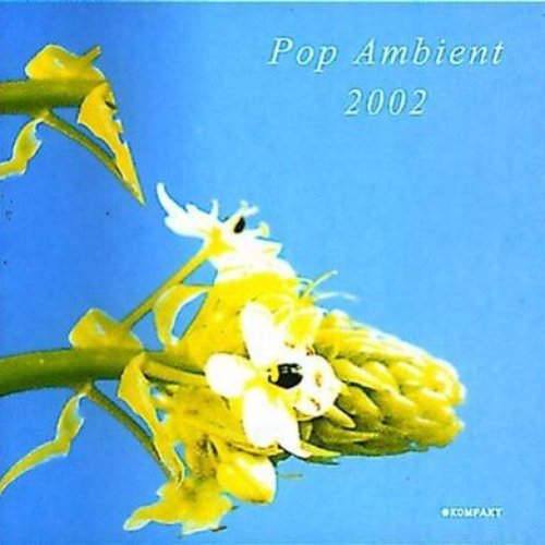 Pop Ambient 2002